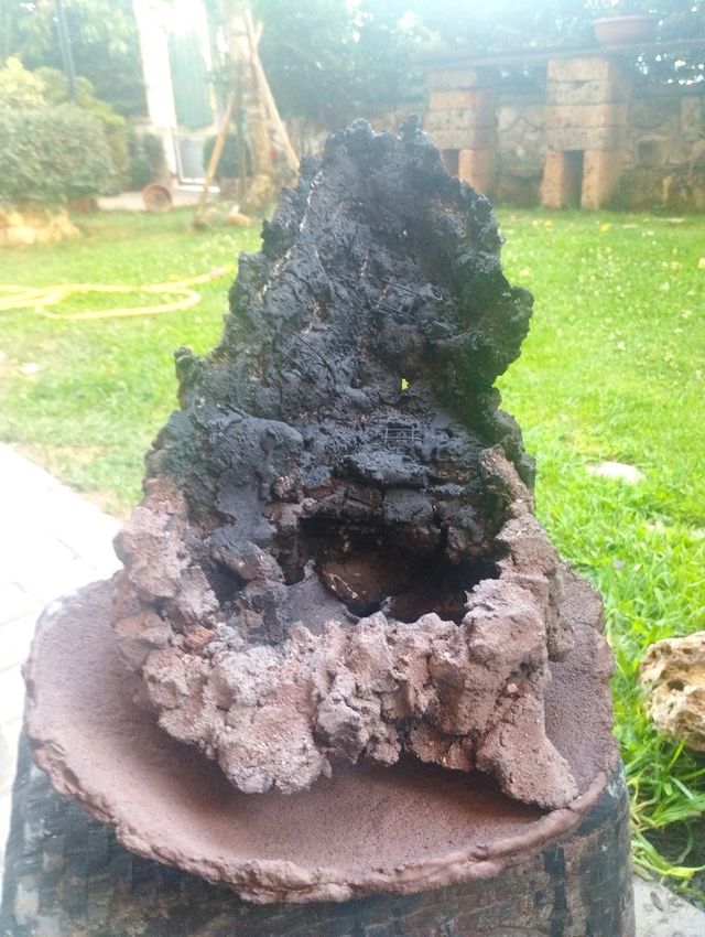 Struttura ishizuki bonsai