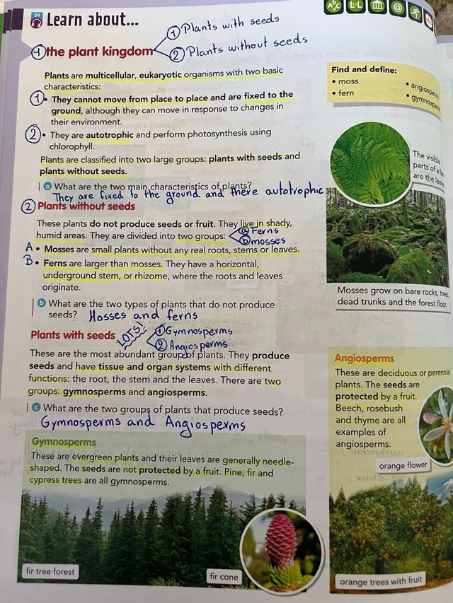 5 Primaria Project Zoom Natural Science