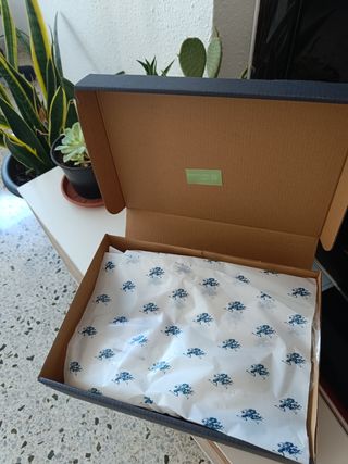 Deportivas polo