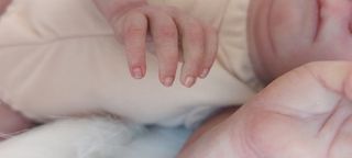 Bebé Reborn kit Tink