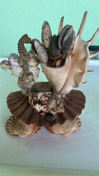 PALILLERO CONCHAS Y CORAL