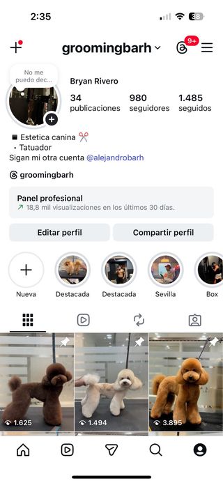 Peluquero canino profesional a domicilio