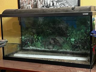 Acuario 200L gama alta