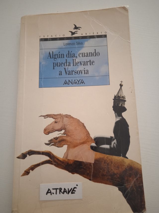 Libro lectura en castellano