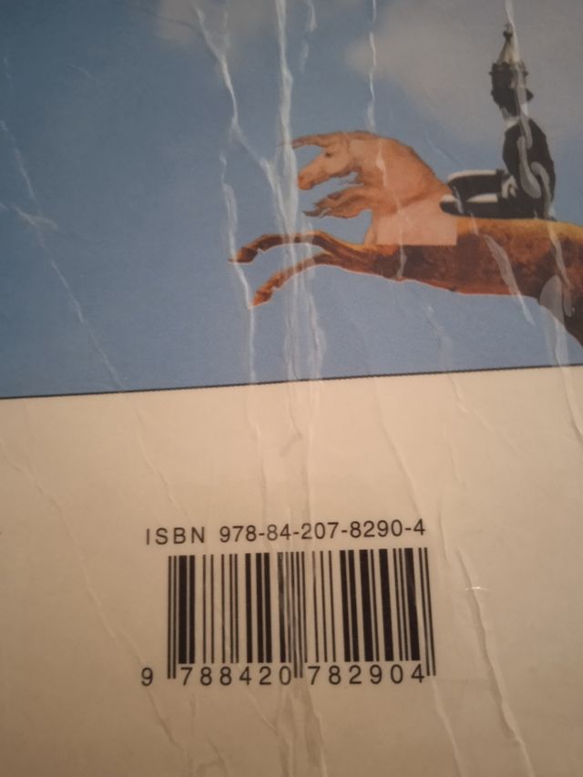 Libro lectura en castellano