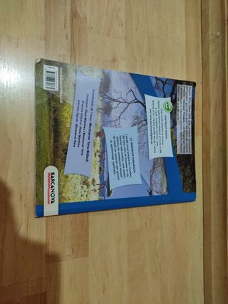 Llibre Matemàtiques 4rt