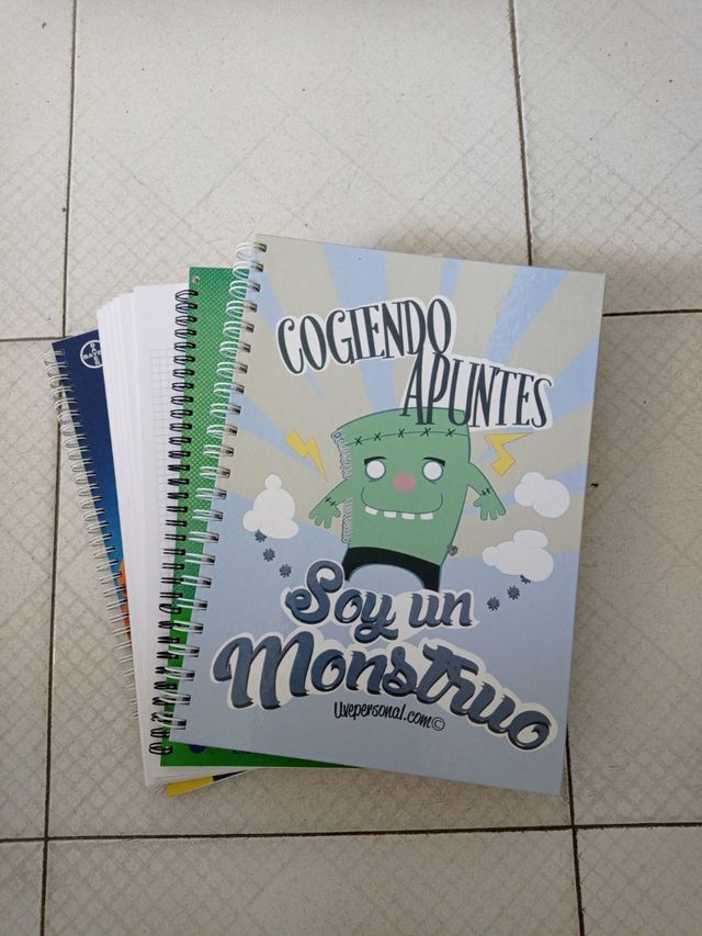 Lote cuadernos