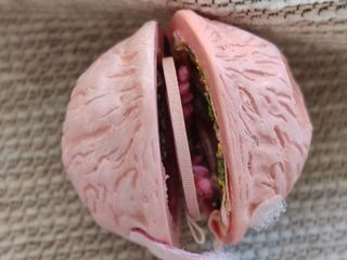 BODA miniatura muñecas casita nuez casa novios