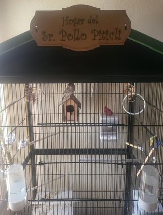 Nombre para cuadras, Casetas de mascotas o Pájaros