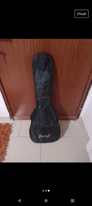 Chiatarrina semiprofessionale