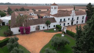 Servicios con drones profesionales