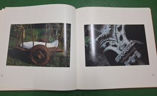 Libro Granito Vivo