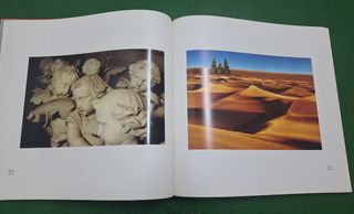 Libro Granito Vivo