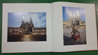 Libro Granito Vivo