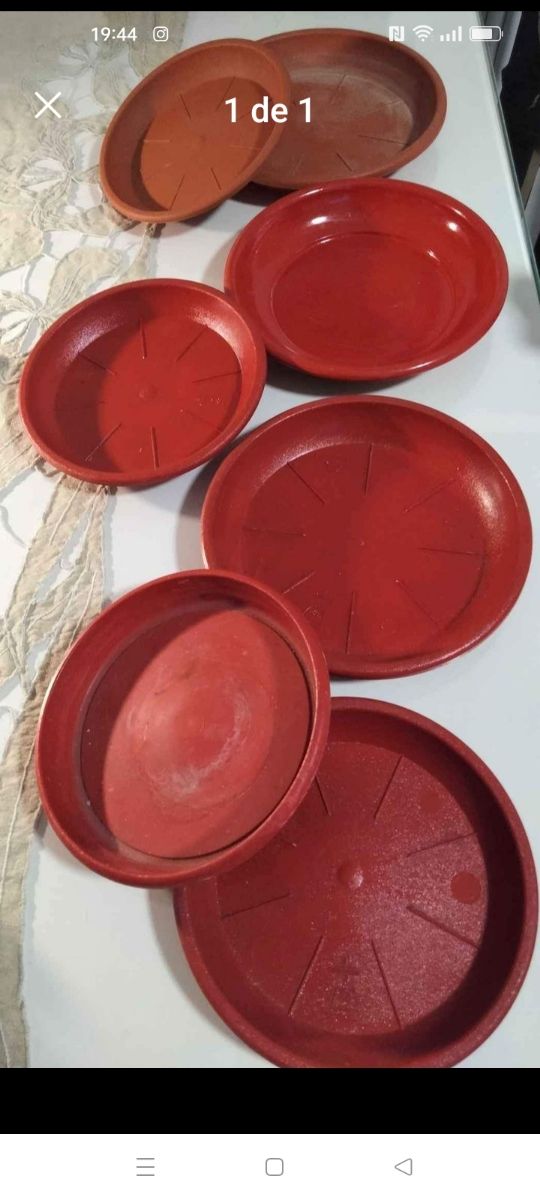 8 platos para macetas