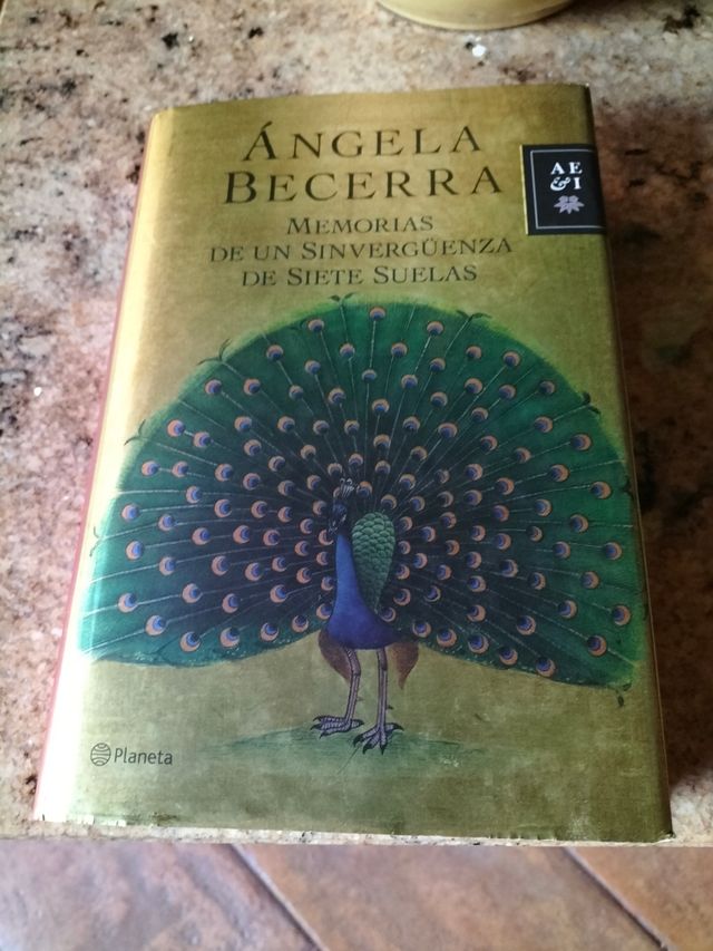 Memorias de un sinvergüenza de siete sue