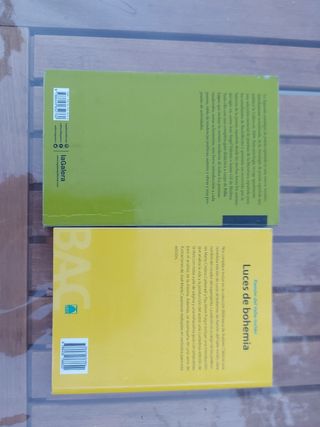 Libros de lectura castellano