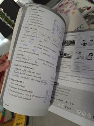 Libro family and friends 4