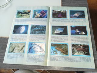 Album de cromos tele indiscreta completo