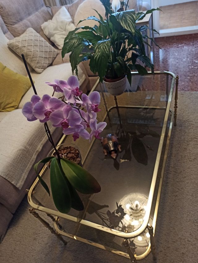 Mesa de centro bronce