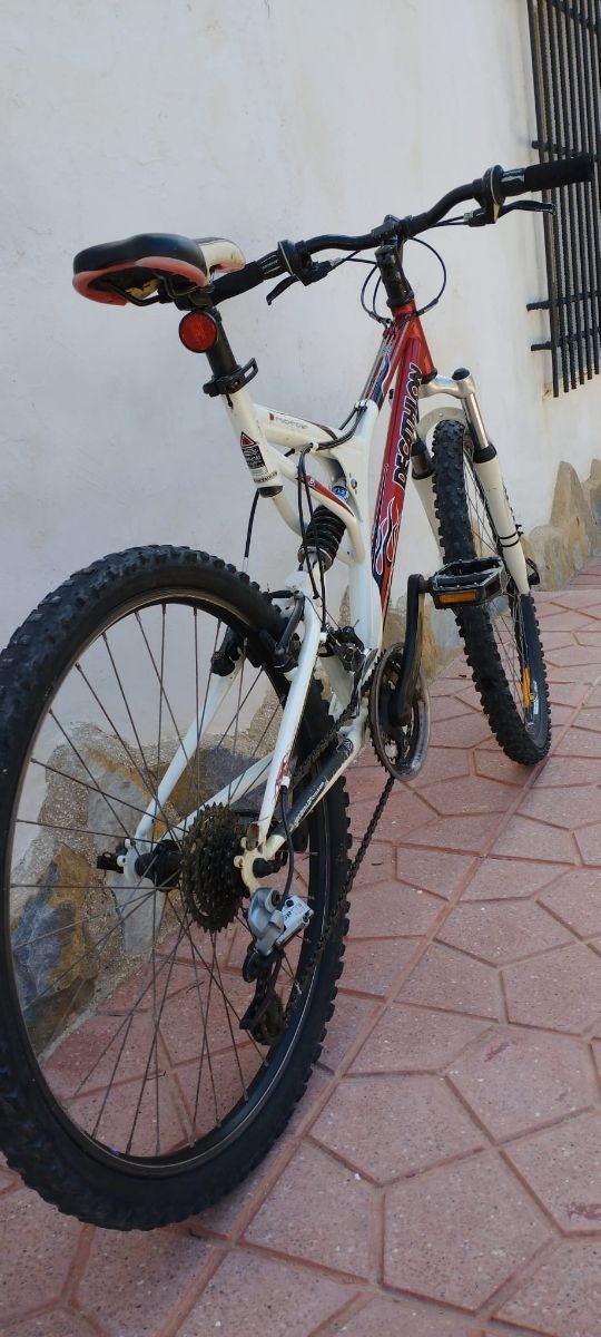 Bicicleta de montaña básica doble