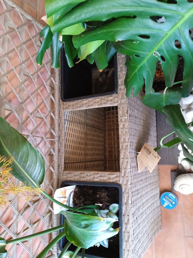 Jardinera con tres macetas y celosía