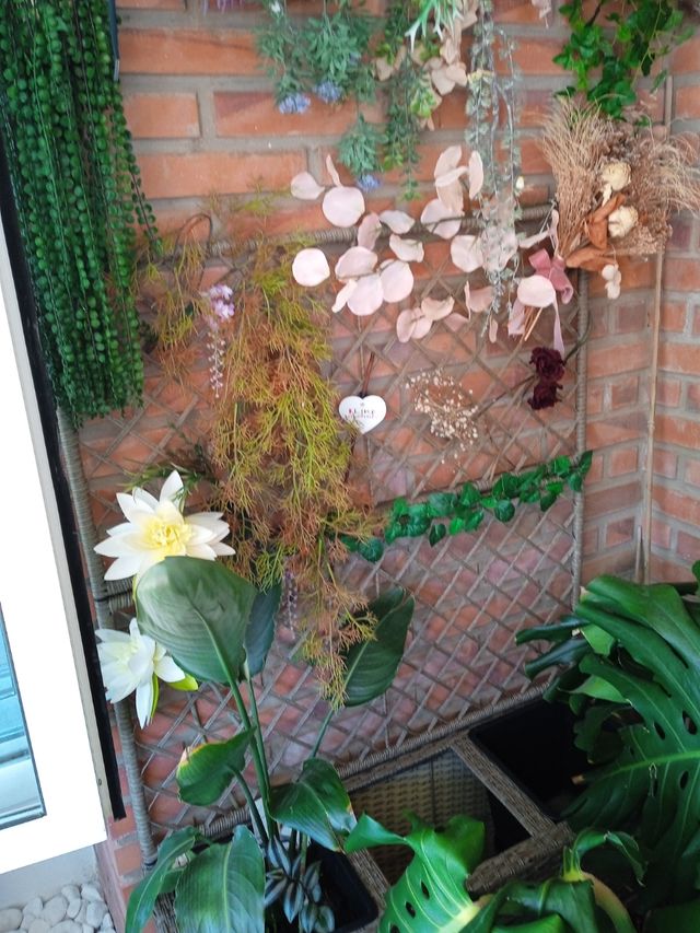 Jardinera con tres macetas y celosía