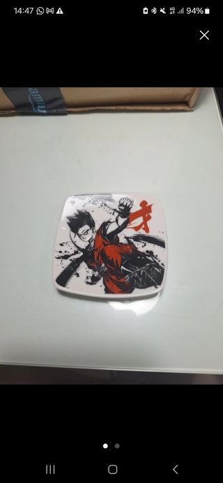 COJÍN GENIO + PLATILLO