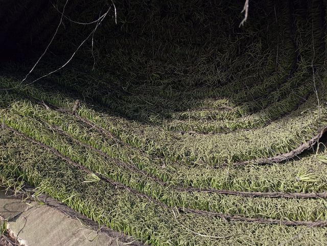 ❇️ Césped Artificial Reciclado ❇️