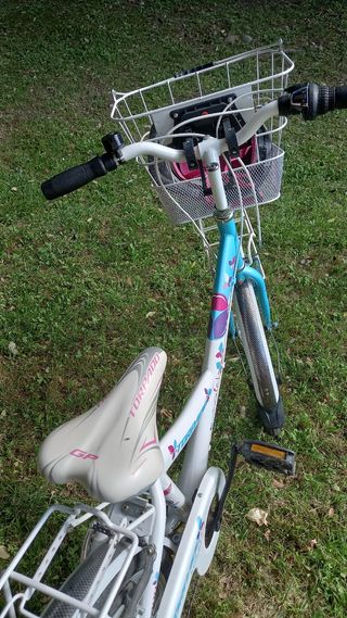Bicicleta infantil de passeig 