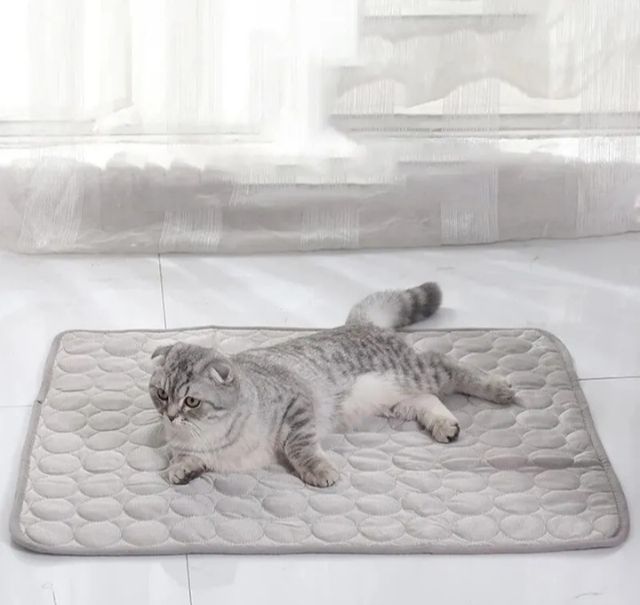 Alfombra para mascotas