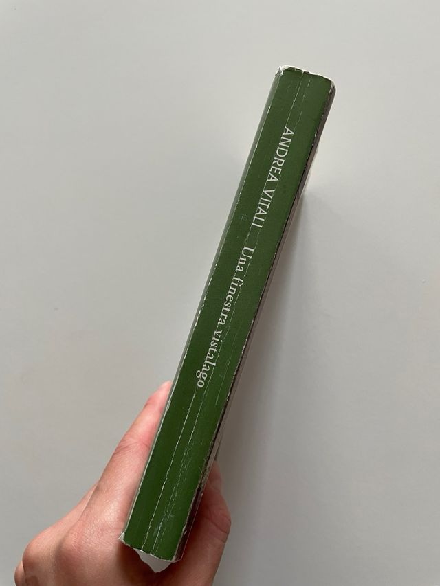 Libro ‘Una finestra vista lago’ - Andrea Vitali