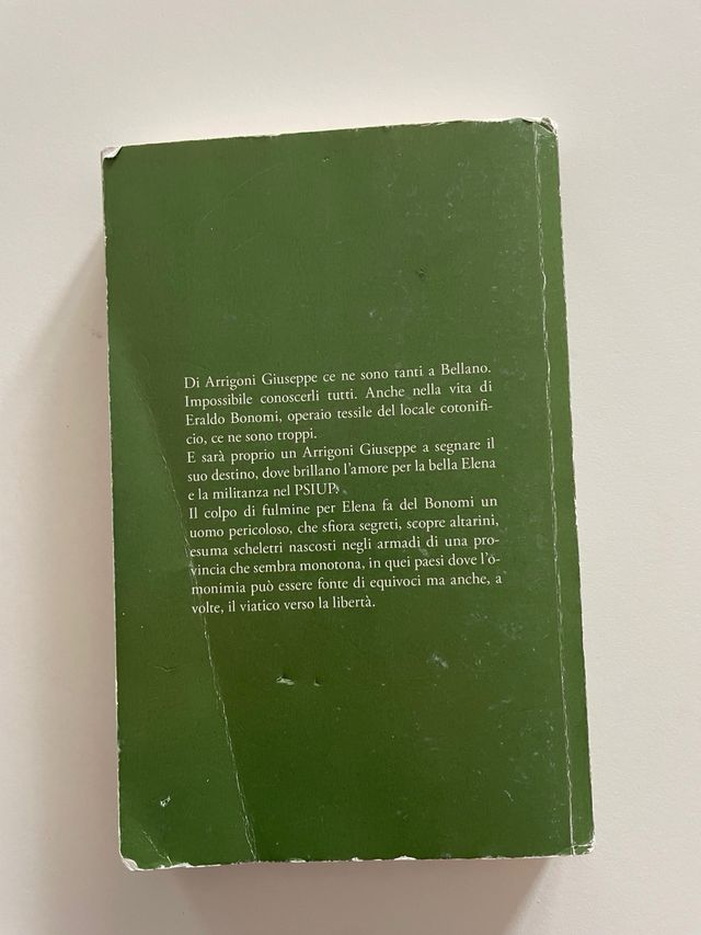 Libro ‘Una finestra vista lago’ - Andrea Vitali