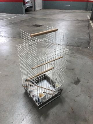 Jaula de loro