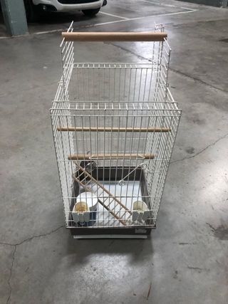 Jaula de loro