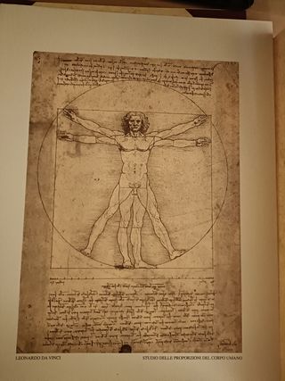 Stampe ritratti, botaniche, mappe, ...