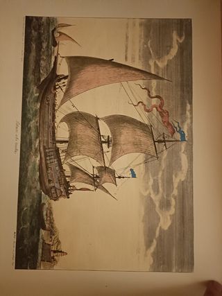 Stampe ritratti, botaniche, mappe, ...