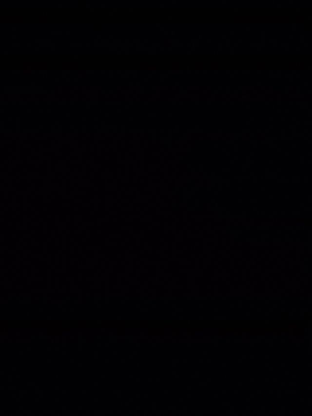 Cuadro villana dalmata