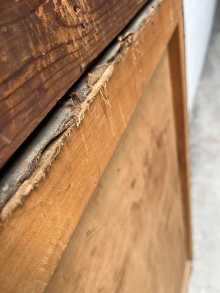 San Antonio Abad, óleo reentelado.