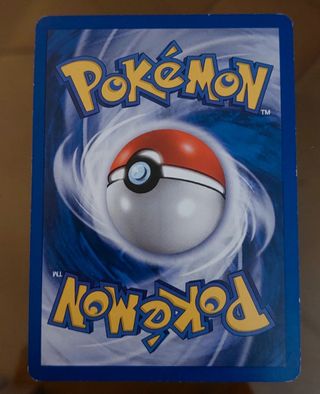 Pokemon Grovyle 19/100 Holo