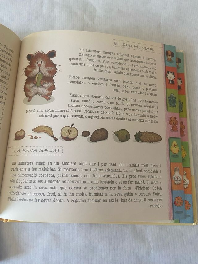 Libro infantil la meva mascota.