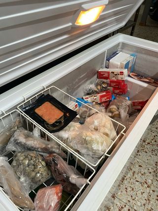 Cámara congelador
