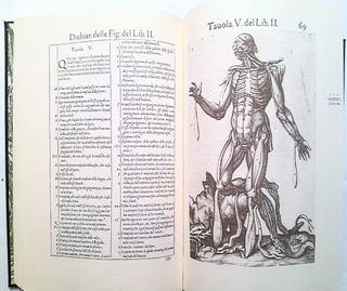 Historia dell'anatomia Valverd anatomi facsimil