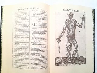 Historia dell'anatomia Valverd anatomi facsimil