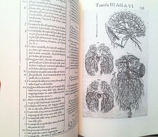 Historia dell'anatomia Valverd anatomi facsimil