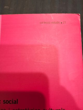 Adolescència femenina i risc social, Anna Berga