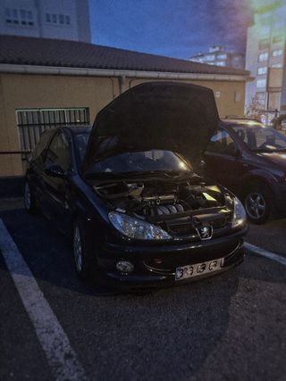 Peugeot 206 Gti-Rc 2003