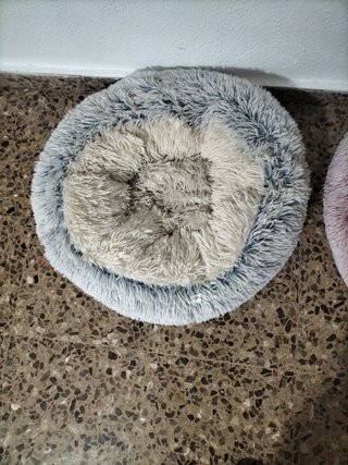 Cama para Gatos