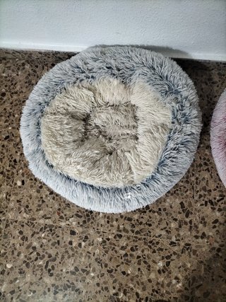 Cama para Gatos