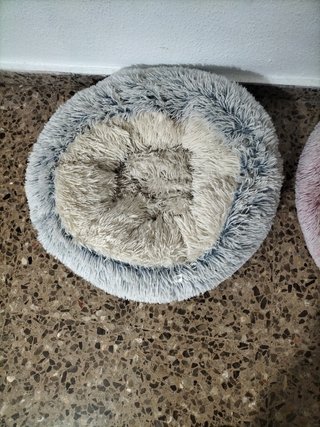 Cama para Gatos